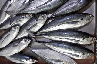 Đậm đà món cá thu kho lá chè – Hạ Long