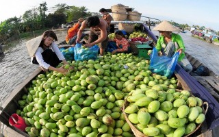 Sẵn sàng khám phá phương Nam