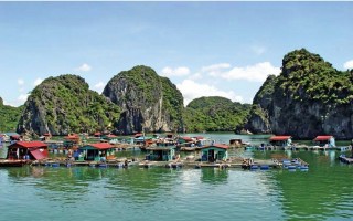 Thăm làng chài cổ nhất Việt Nam ở Cát Bà