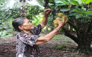 Cuộc sống đời thường của người nữ cựu tù kháng chiến