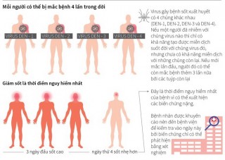 [Infographics] Những điều cần biết về bệnh sốt xuất huyết