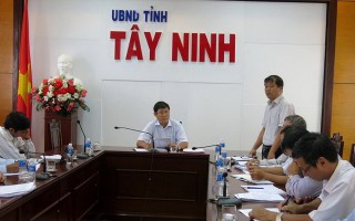 Công tác dập dịch khảm lá cây mì còn chậm