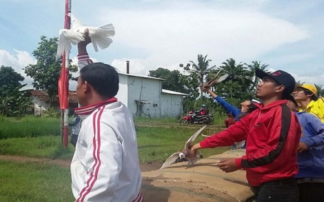 Chim bồ câu làm tăng tỷ lệ ly hôn ở Indonesia