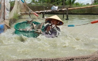 Hội thảo liên kết sản xuất và tiêu thụ nông sản theo chuỗi giá trị