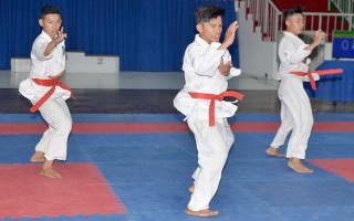 Khởi tranh giải vô địch Karatedo tỉnh Tây Ninh năm 2017