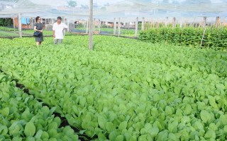 Tây Ninh mời gọi đầu tư nhiều dự án nông nghiệp