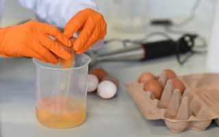 Fipronil ở trứng gà bị nhiễm gây độc ra sao?