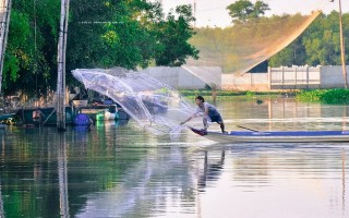 Rạch Tây Ninh- nghịch lý phóng sinh và tận diệt