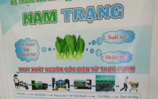 Công ty Nam Trạng: Áp dụng truy xuất nguồn gốc rau bằng điện thoại