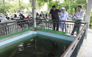 Khó tin, nuôi cá trong bể nước thải của bệnh viện