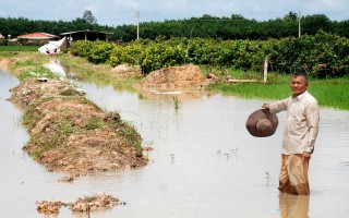 Ngưng đào kênh tiêu gây ngập nước