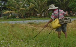 Cần ngăn chặn tình trạng chích điện bắt cá