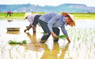 Chạm vào ký ức