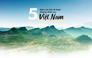 5 điểm du lịch đi hoài không chán của Việt Nam