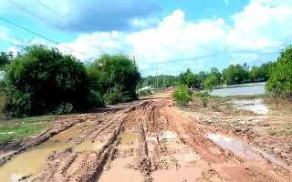 Triển khai dự án đường tuần tra biên giới tỉnh Tây Ninh
