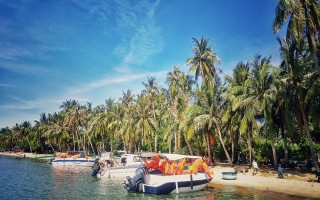 Ngút ngàn màu xanh trên cung đường biển Nha Trang - Tuy Hòa