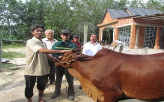 Trao vốn hỗ trợ hội viên nông dân nghèo