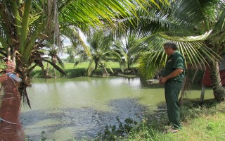 Cựu chiến binh thoát nghèo từ mô hình kinh tế tổng hợp