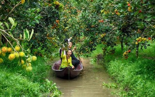 Tái hiện chợ nổi trên sông ở làng trái cây Phong Điền