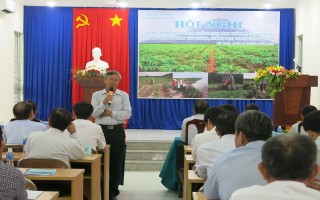 Cần chuyển đổi cây trồng vụ Đông Xuân 2017-2018