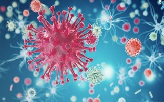 Tìm được siêu kháng thể giết 99% virus HIV