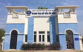 Tư vấn việc làm cho thanh niên Bến Cầu