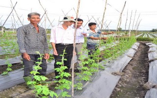 Ðẩy mạnh ứng dụng khoa học công nghệ vào sản xuất