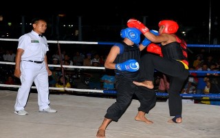 Khởi tranh giải võ cổ truyền vô địch các tỉnh miền Đông Nam bộ năm 2017