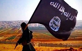 Lầu Năm Góc phủ nhận liên minh do Mỹ dẫn đầu đang làm việc với khủng bố IS tại Syria