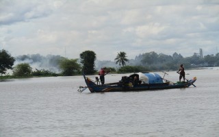 Cá đã quay trở lại