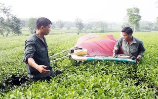 Gỡ rào cản chính sách để phát triển hợp tác xã