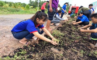 Ngăn rác bằng tuyến đường hoa