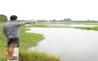 Bàu Thâm Vô… lại “chìm trong vô vọng”