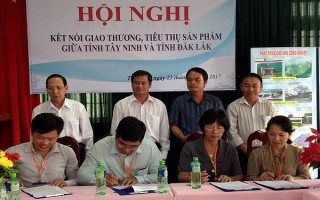 Kết nối giao thương, tiêu thụ sản phẩm