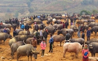 Chợ phiên Cán Cấu - nét độc đáo vùng Tây Bắc