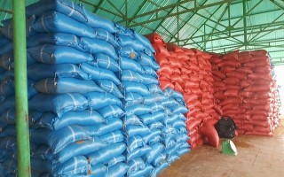 Truy tìm đối tượng nhập lậu 131 tấn thức ăn chăn nuôi từ Campuchia về Việt Nam