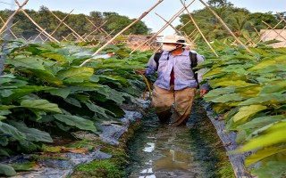 Khó khăn trong việc huy động, quản lý và sử dụng nguồn lực