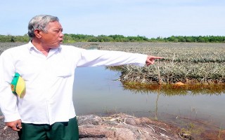 Căng thẳng chốn đồng bưng