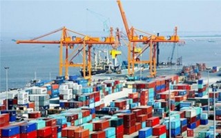 Quan hệ thương mại Việt Nam-Chile tăng mạnh qua các năm