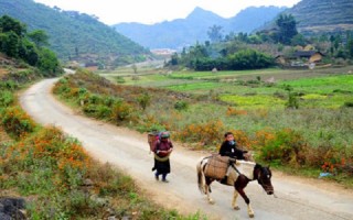 Vẻ đẹp tiềm ẩn trên những cung đường tình yêu cao nguyên đá Hà Giang