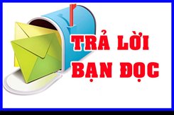 Trả lời cử tri về công tác quản lý các công trình văn hoá, thể thao