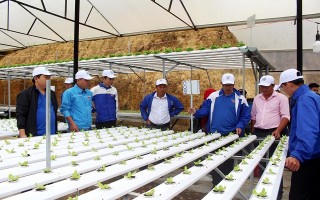 Tổ chức tham quan mô hình phát triển nông nghiệp công nghệ cao tại Lâm Đồng