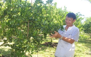 Làm nông cũng phải nhạy bén