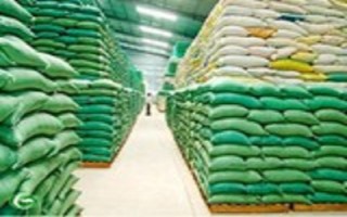 Bổ sung 553 tỷ đồng mua bù gạo dự trữ quốc gia