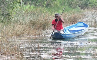 Căng thẳng hơn ở chốn đồng bưng