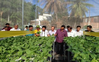 Hội Nông dân thị xã Duyên Hải (Trà Vinh) giao lưu, học tập kinh nghiệm tại huyện Dương Minh Châu