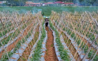 Công bố kết quả tổng điều tra nông thôn, nông nghiệp và thuỷ sản Tây Ninh năm 2016