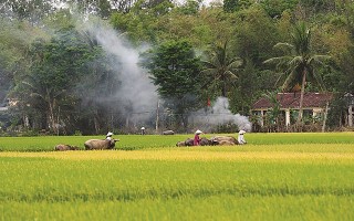 Những ngày đông ấm áp