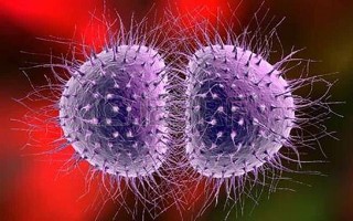 Bệnh lậu do vi khuẩn Neisseria gonorrhoeae gây ra