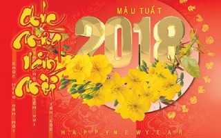 Việt Nam vững bước tiến vào năm 2018